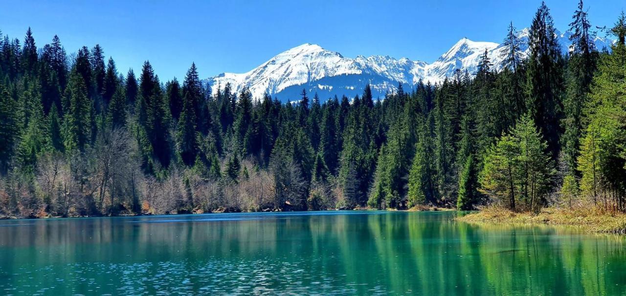 Stilvolle Ferienwohnung Direkt An Der Skipiste Flims Exteriör bild